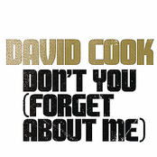 Don't You (forget About Me) by David Cook