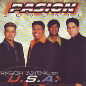 Pasion Juvenil En U.S.A