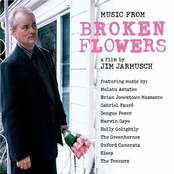 Broken Flowers