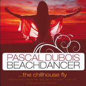 Beachdancer - The Chill House Fly