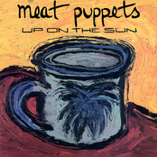Meat Puppets: Up on the Sun