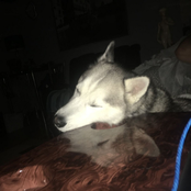 Lay your head next to me