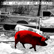 Capture And Release