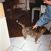 Everything's Fine (When I Go Outside)