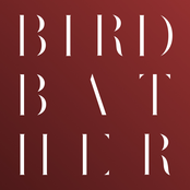Birdbather II