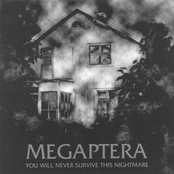 Damaged Mind by Megaptera