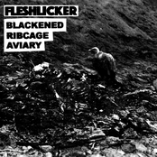 Blackened Ribcage Aviary