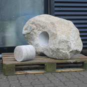 Stray Dogs on the Beach