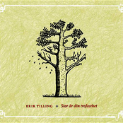 Stor ar din trofasthet