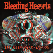 Fly in the Face of Fashion