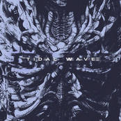 Tidal Wave