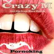 Pornoking (366158 5697312) WEB