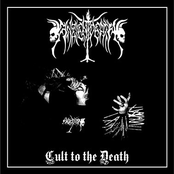 Cult to the Death