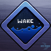 Wake 2013