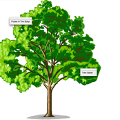 Tree Gazer