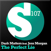 The Perfect Lie