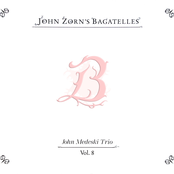 John Zorn's Bagatelles Vol. 8