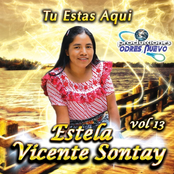 Tu Esta Aqui, Vol. 13