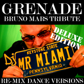 Grenade (Bruno Mars Tribute) (Re-Mix Dance Versions)