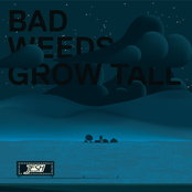 Bad Weeds Grow Tall