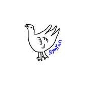 little duck