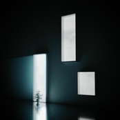 Lost In The Everglow