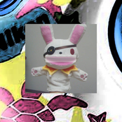 Skruth Rescue Operation