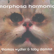 Ramwong by Thomas Wydler & Toby Dammit