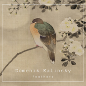 Feathers - Single