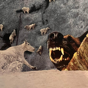 The Outfield Clovers: All I Do Is Run