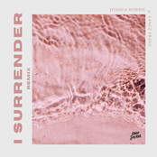 I Surrender (Remix) [feat. Lange Frans] - Single