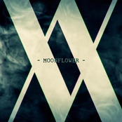 Moonflower - Single