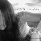 In Spite Of Angels