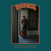 David Beck: Bloom & Fade