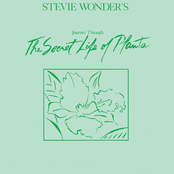 Earth's Creation by Stevie Wonder