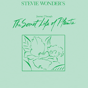 Outside My Window by Stevie Wonder