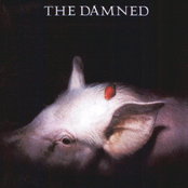 The Dog by The Damned