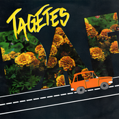 DAF