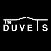 the duvets