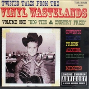Twisted Tales from the Vinyl Wastelands Volume One