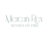 Senses On Fire (fujiya & Miyagi Remix) by Mercury Rev