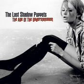Standing Next To Me by The Last Shadow Puppets