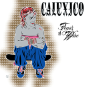 Calexico: Feast of Wire