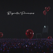 REGRETS / PROMISES
