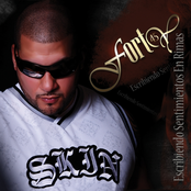 Escribiendo Sentimientos En Rimas