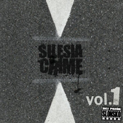 Silesia Crime Vol . 1