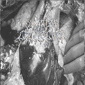 Ovarian Liquefaction