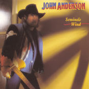 Seminole Wind by John Anderson