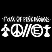 Charity Hilarity by Flux Of Pink Indians