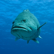 Feeling blue with you